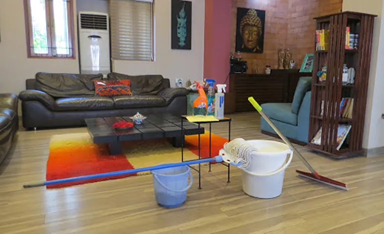 Future House Maid Service